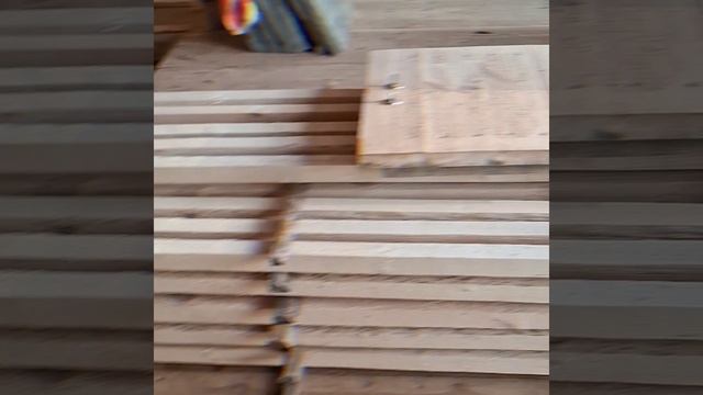 1000022475.mp4 (Собака смотрит на электроснабжение дома А-фрейм)