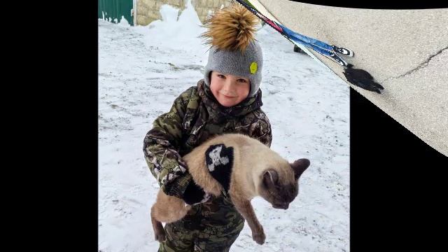 Фото выставка «Зоологическое ассорти Рязанской области»