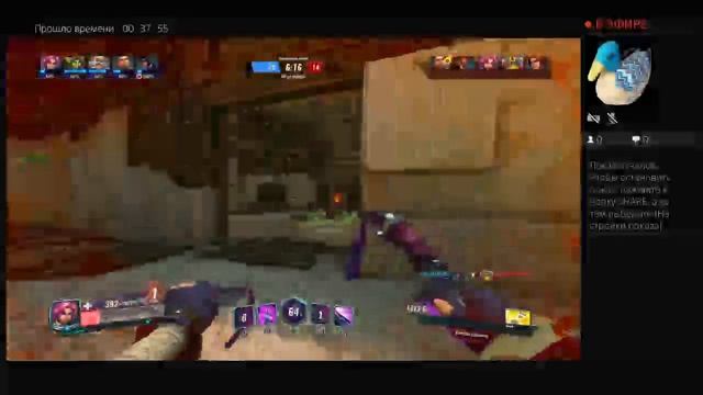 Прямой эфир PALADINS   PS4 от rasta_mouser