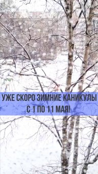 ЗИМНИЕ КАНИКУЛЫ!