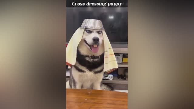 😂Хорошего вечера!