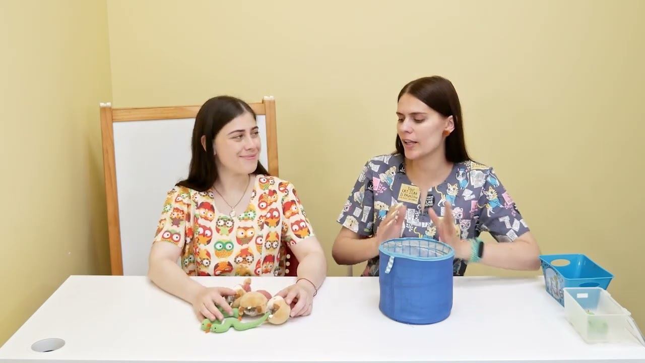 13 - Фонематическое восприятие