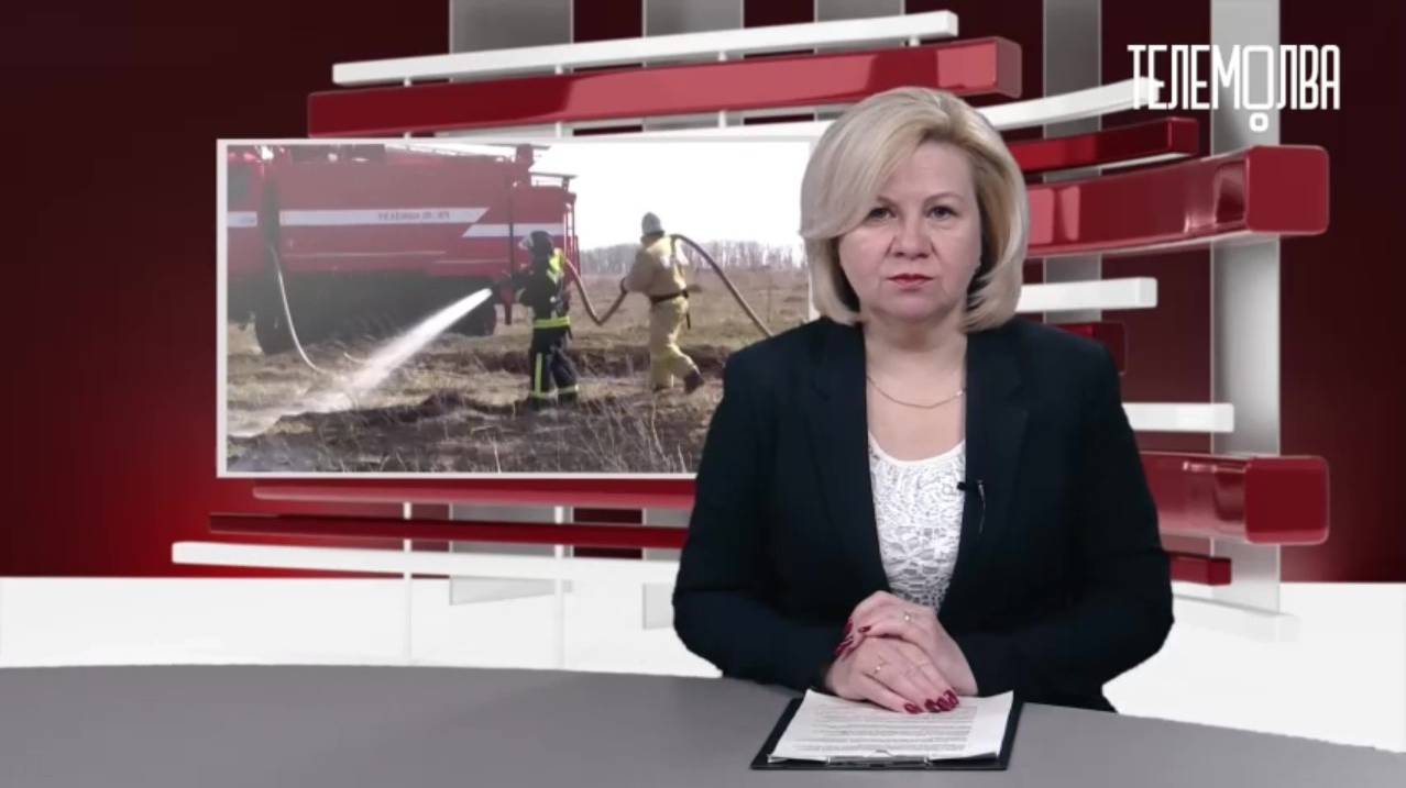 О запрете пала сухой травы на телеканале Телемолва