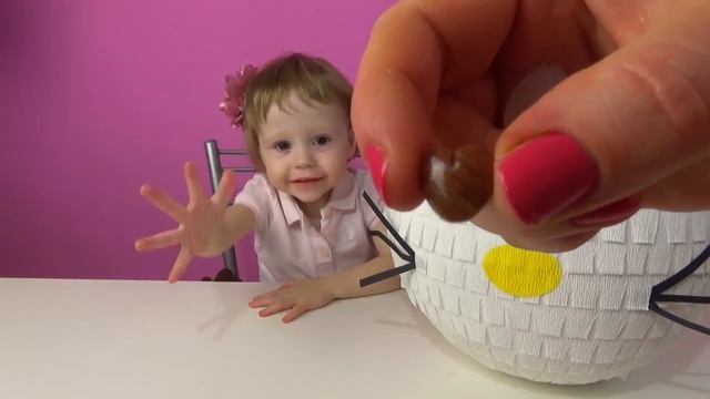 Лайк Настя Влог Настя и сюрприз с кошечкой