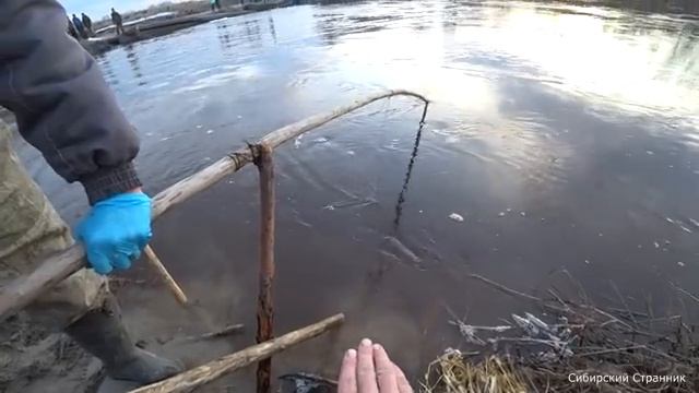 Рыбалка на дедовскую снасть кривду.