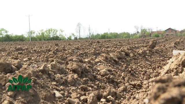 Аграр, 27.04.2025.