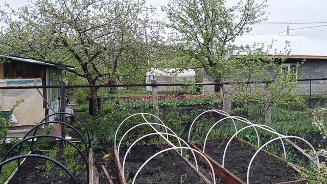 Дача.🏡 Хороший дождь ☔ прошёл.28.04.25