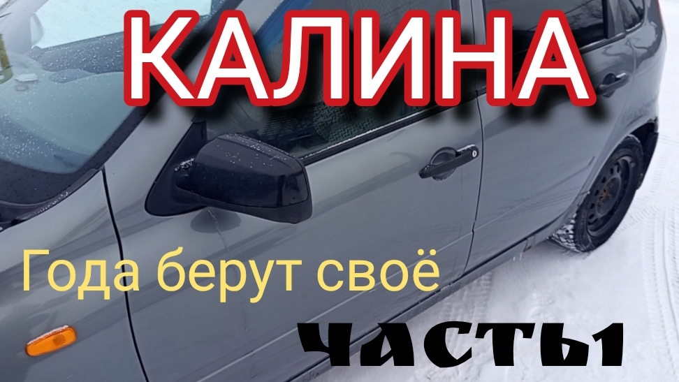 КАЛИНА ГОДА БЕРУТ СВОЁ часть 1