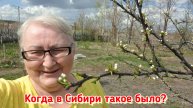 Дача 28 апреля 2025 г. Работа не волк, в лес не убежит, за нас её никто не сделает.