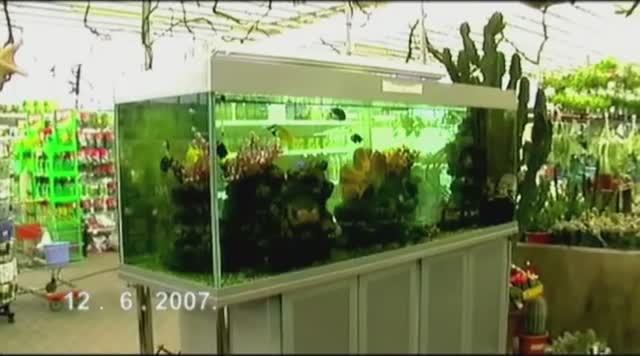 021 Краснодар 2007.. Садовый центр