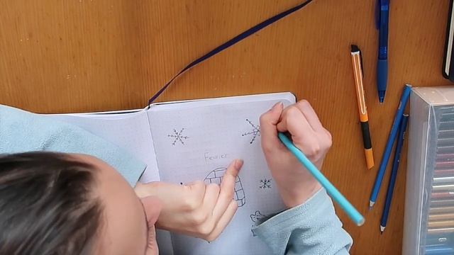 Neige !! Février 2019 dans mon Bullet Journal