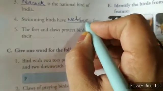 Pathania Public School