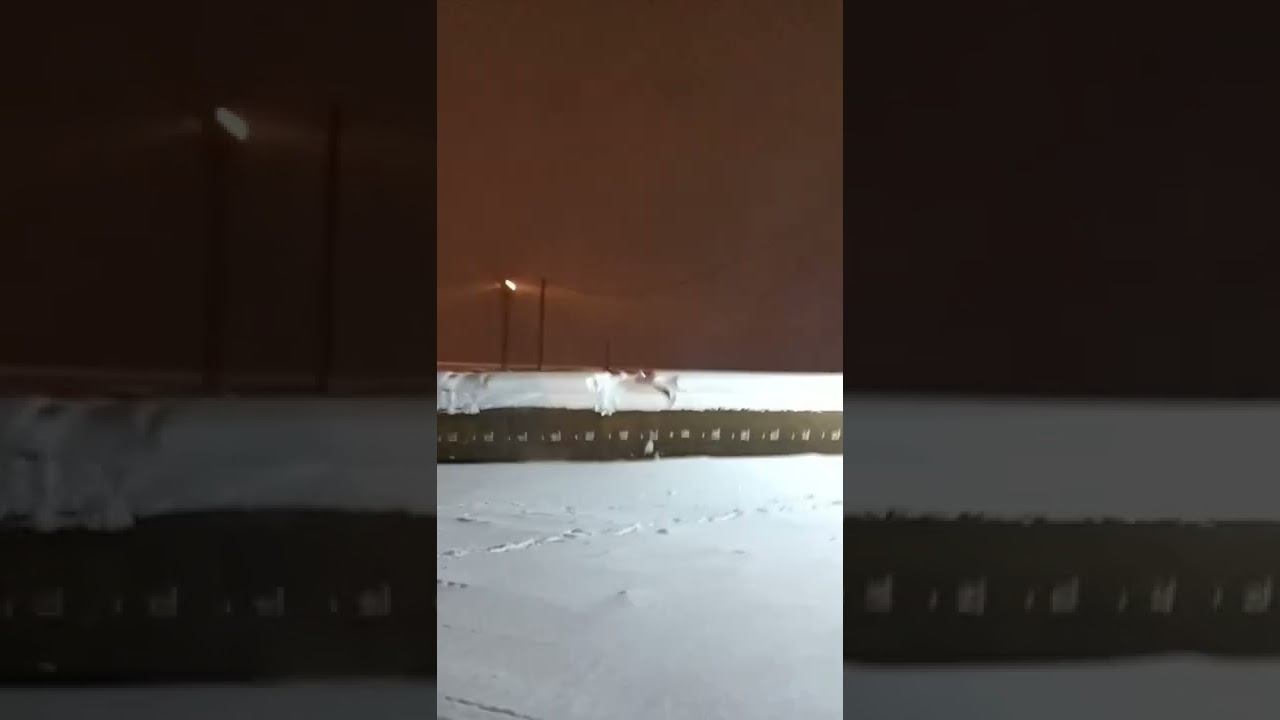 17 февраля 2022 г.