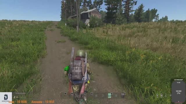 Dayz