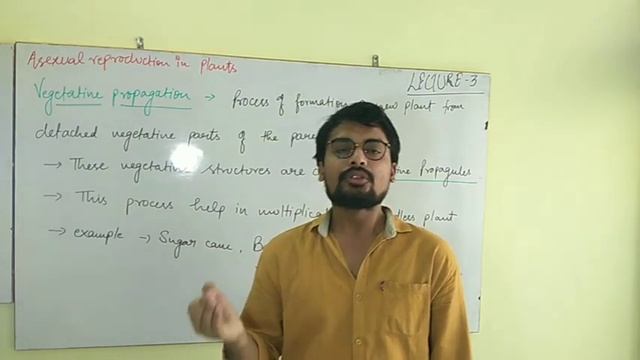 Class 12  Reproduction in organism L-3