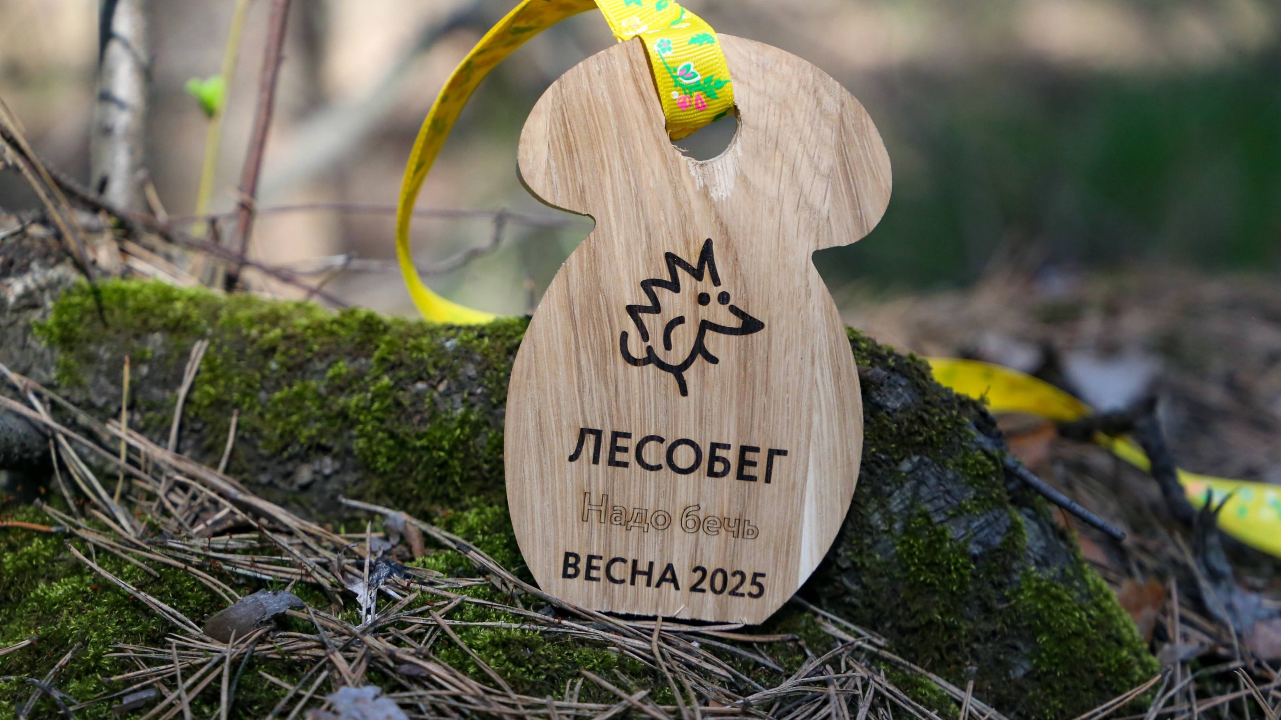 Лесобег 2025