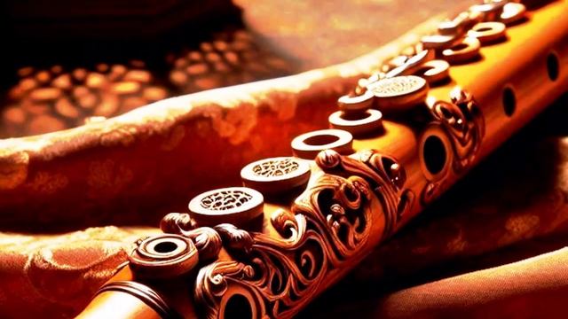 Antonio Vivaldi, Vincent Lucas - 6 Flute Concertos, No. 4 in G Major, RV 435: II. Largo