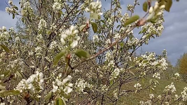 Весна! Красота!