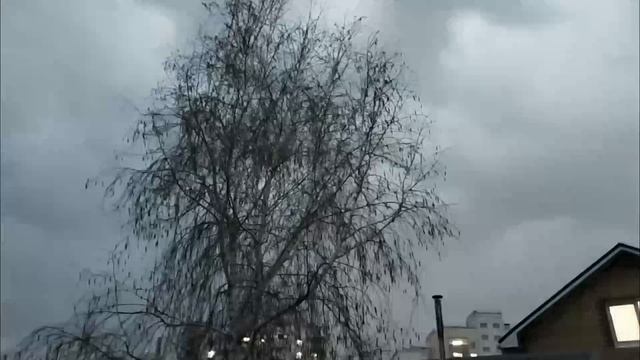 Гроза