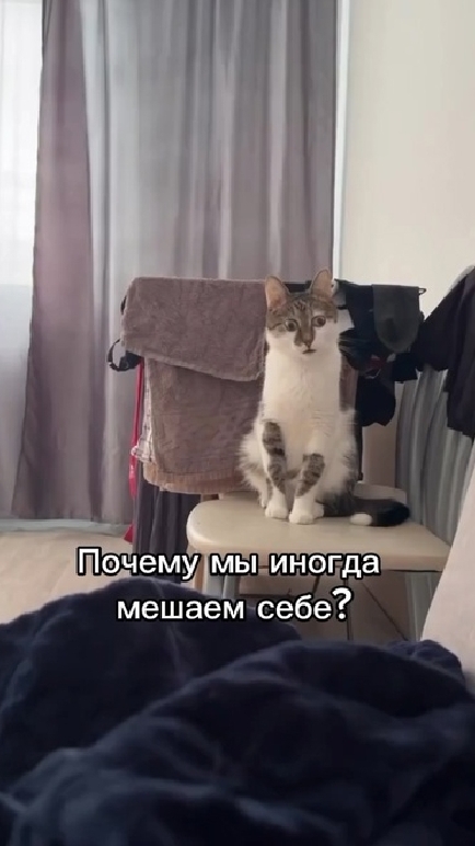 Почему мы иногда мешаем себе? #мышление #коучинг #психология #гармония #счастье