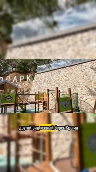 Южный берег Крыма славится своими СОСНАМИ
