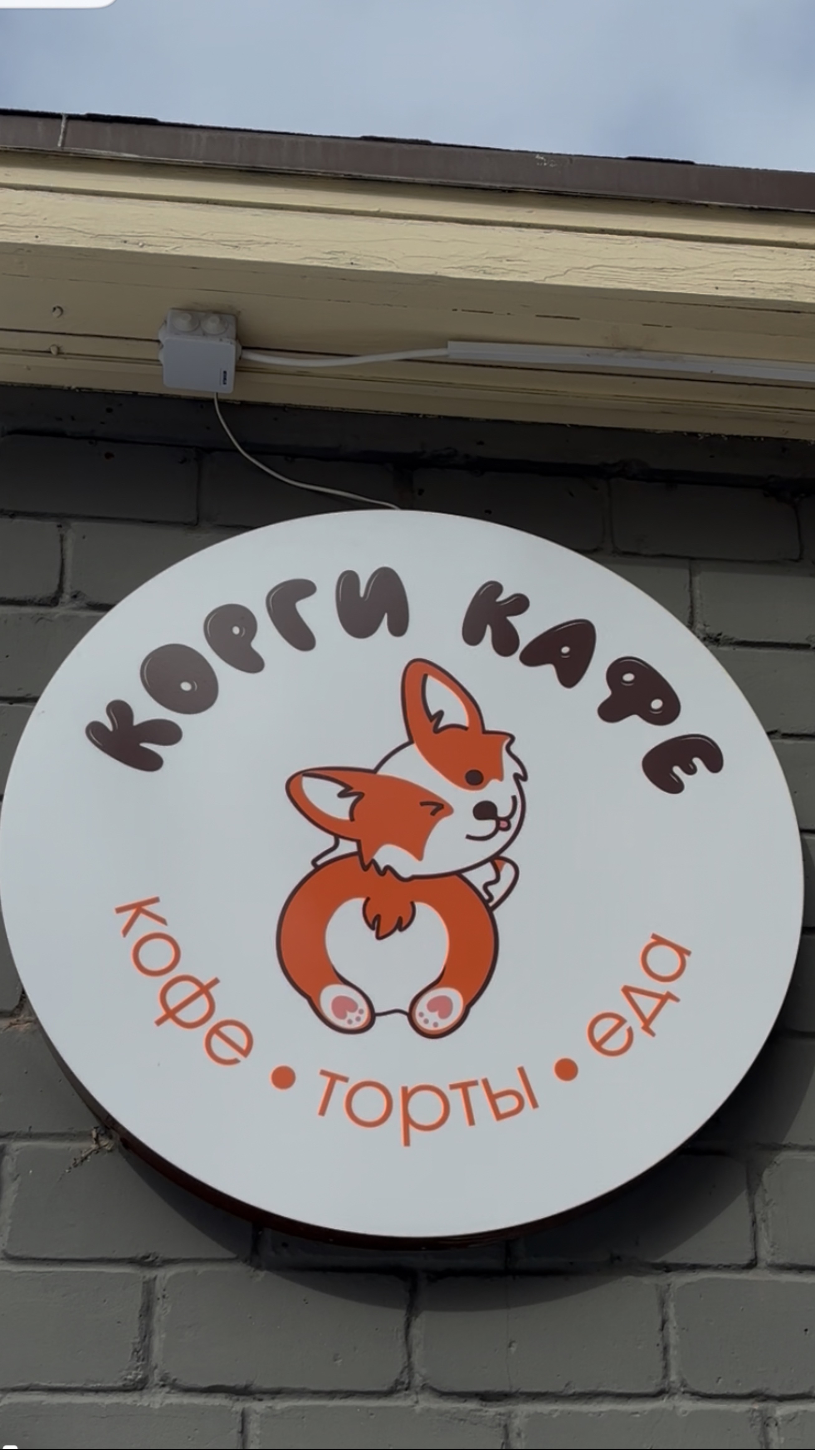 Корги-кафе, г. Симферополь. Крым.