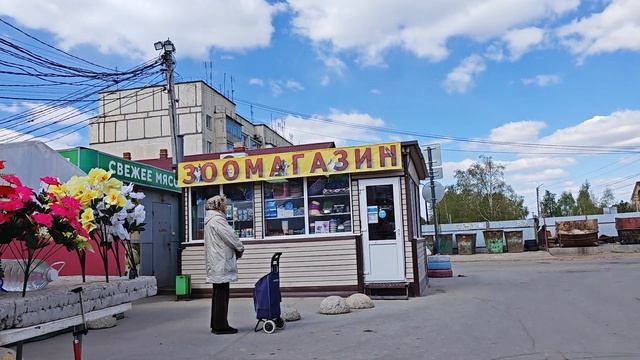 Рыбное Большая 8А обзорное.mp4