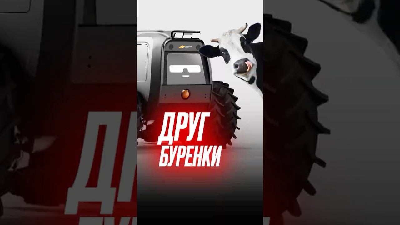 Коровы от него в восторге!