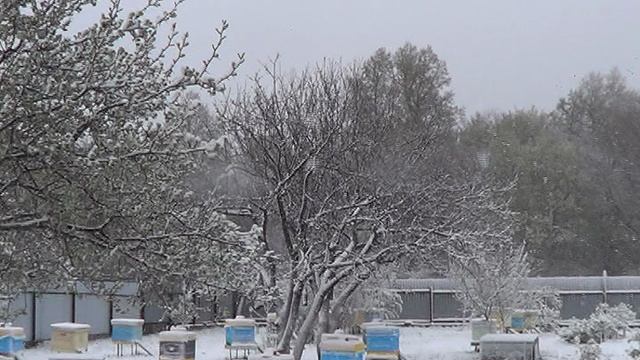 Снег в конце апреля