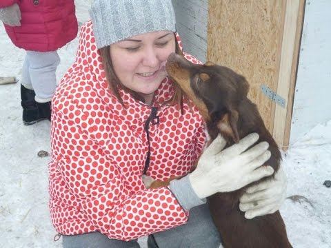 Влог: ПРИЮТ ДЛЯ ЖИВОТНЫХ "ХОЧУ ДОМОЙ" ♥ a shelter for homeless animals