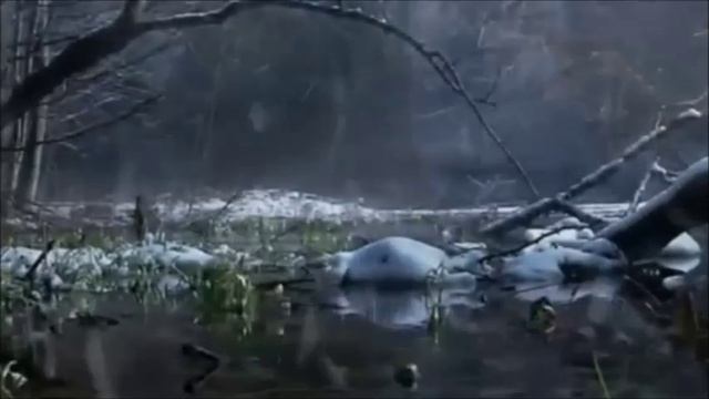 Весенний дождь в конце апреля.