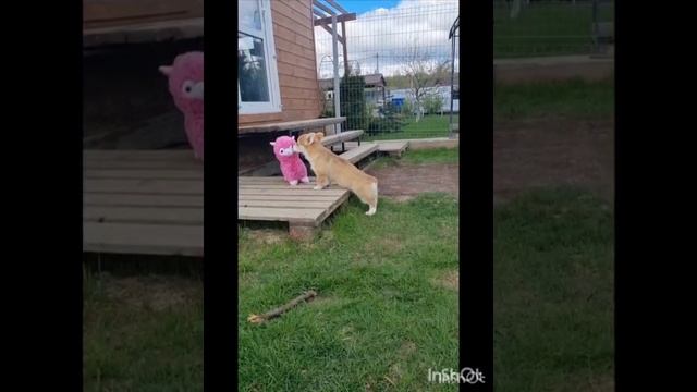 Великолепная Есения