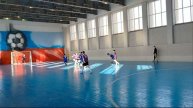 Партизан 2013 АФ Динамо Брянск