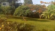Занзибар Riu Palace Природа Танзании