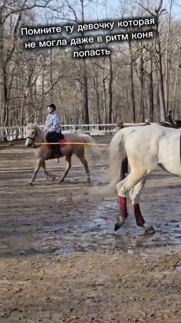 # sorts # коняшки ♡☆