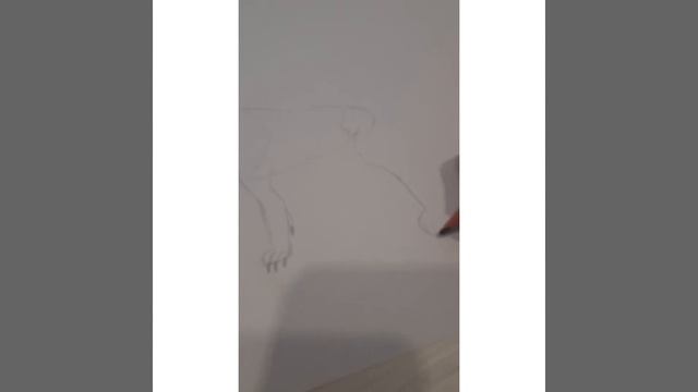 Рисуем тигра🐯🐅🐾🐾🐅🐯