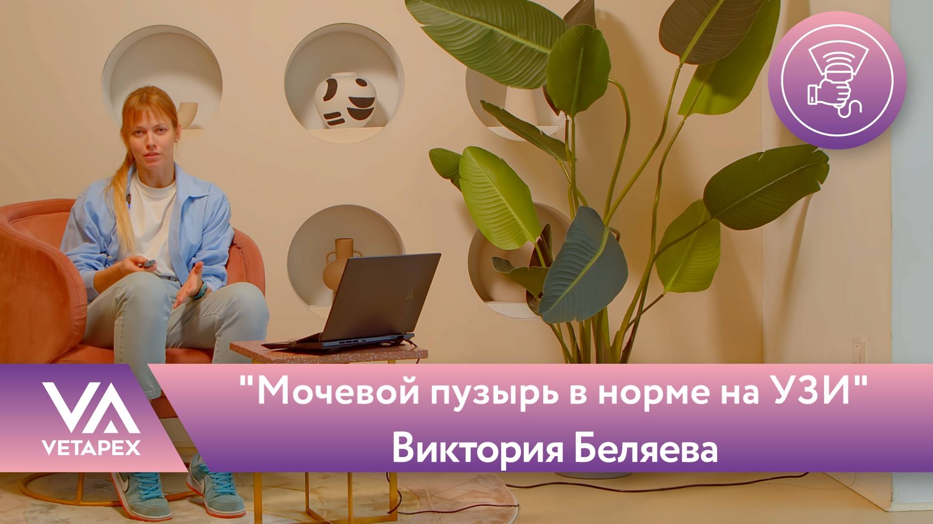Кафедра УЗИ "Мочевой пузырь в норме на УЗИ"