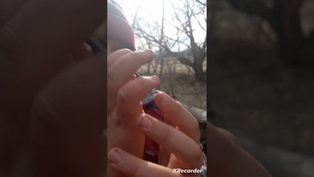 интервью моего лучшего друга Макса Бурцева он снимался в ролике А4 И с Евой эльфи он Red Ball