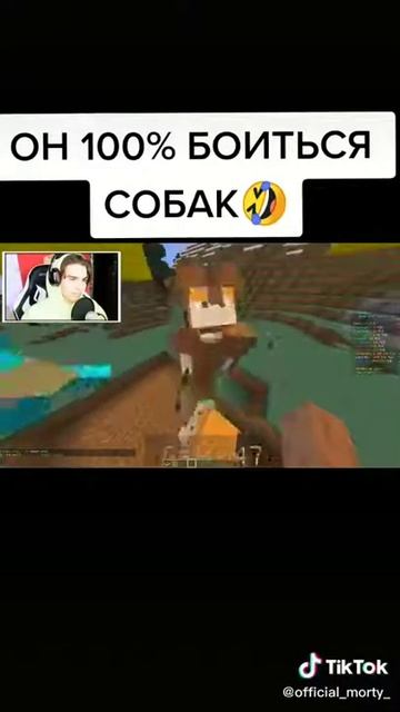 Он 100% боится собак