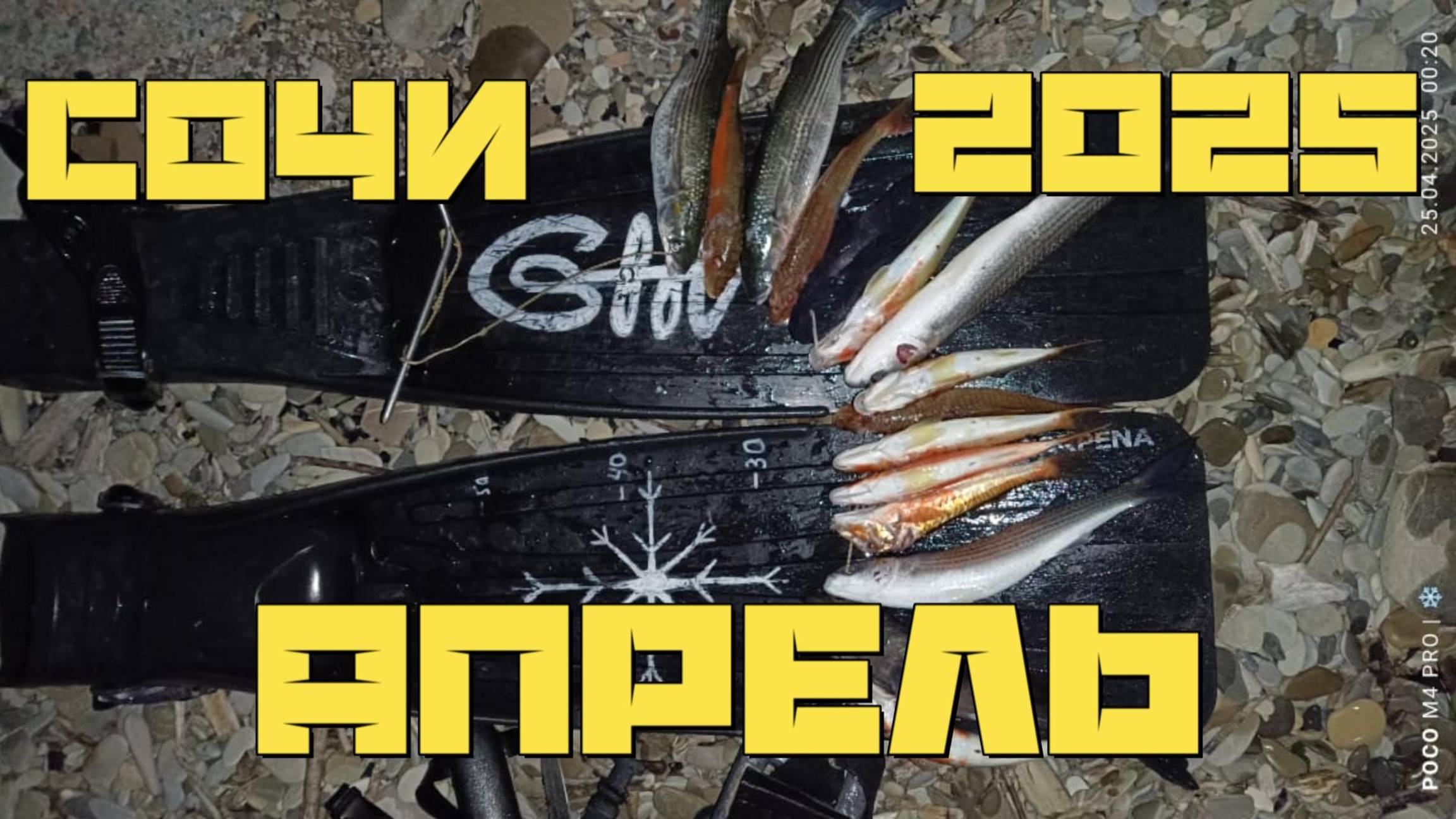 Ночная подводная охота. Апрель 2025