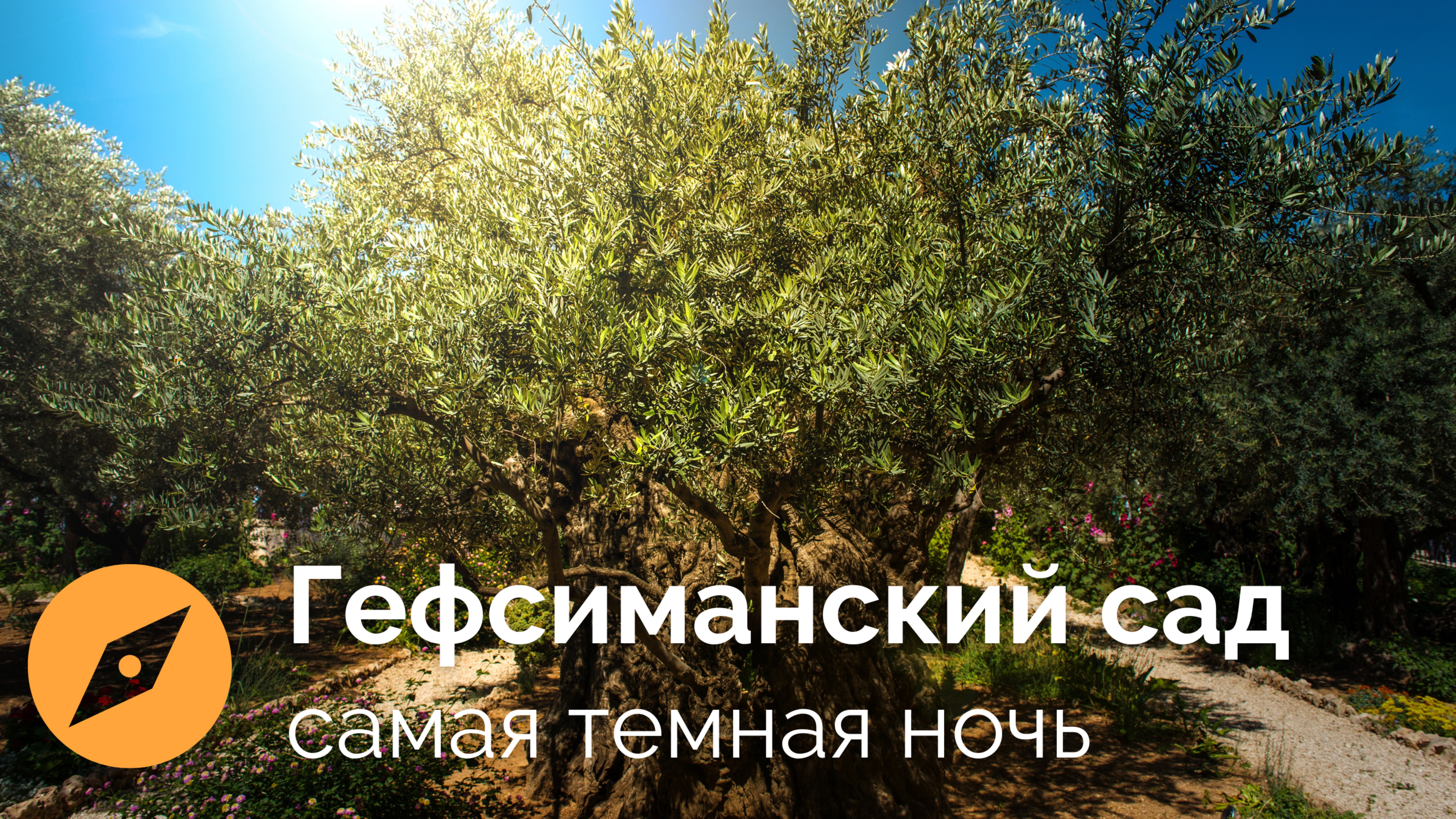 Гефсиманская история | Точка невозврата