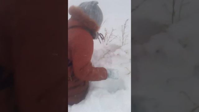 Приколы со снегом