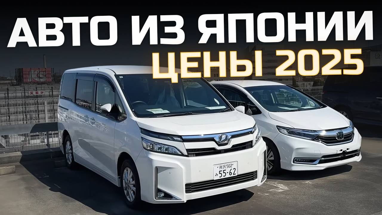 ОБЗОР ЦЕН: Посетили аукцион Honda Tokyo. Цены на авто апрель 2025.
