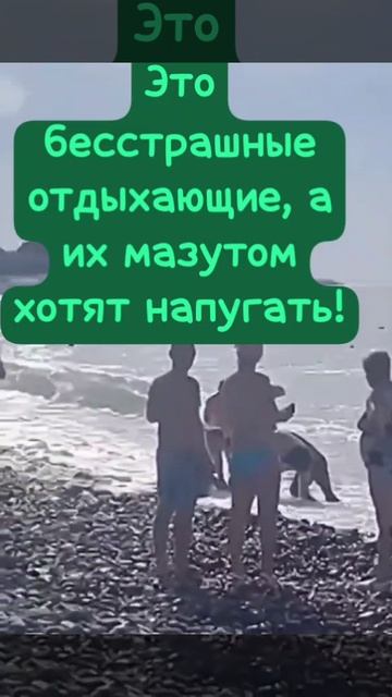 Мина.