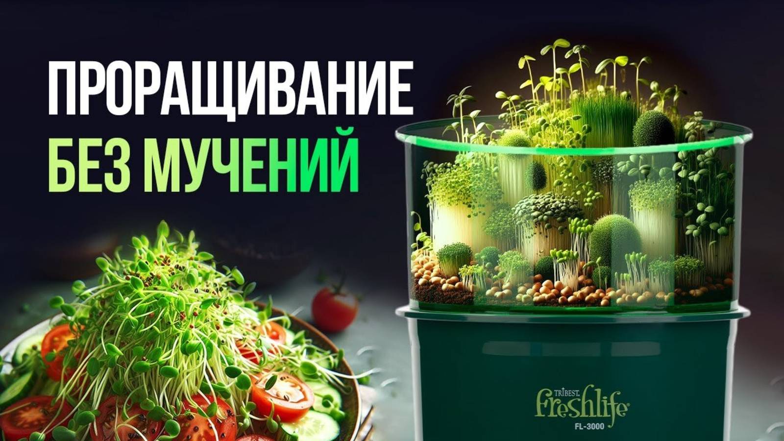 Проращивание без мучений. Как вырастить зелень дома без заморочек? Игорь расскажет:)