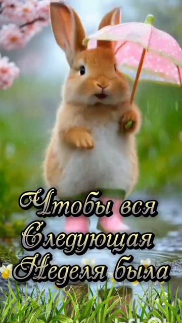 С добрым утром !