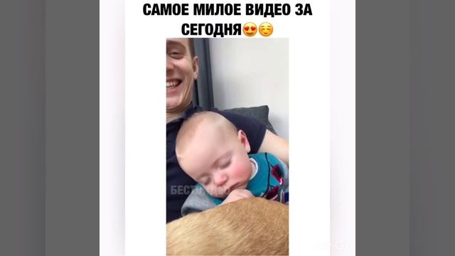 240 СЕКУНД ПРИКОЛОВ!ЗАСМЕЯЛСЯ-ПРОИГРАЛ!СМОТРЕТЬ ВСЕМ!ПРИКОЛЫ 2019 ГОДА!