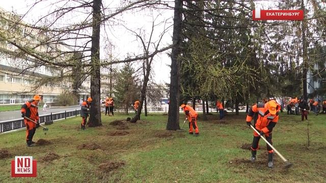 Энергетики прибрались у памятника "Чёрный тюльпан"