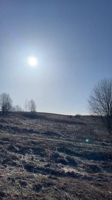 Архангельская область,поиск новых мест для копа