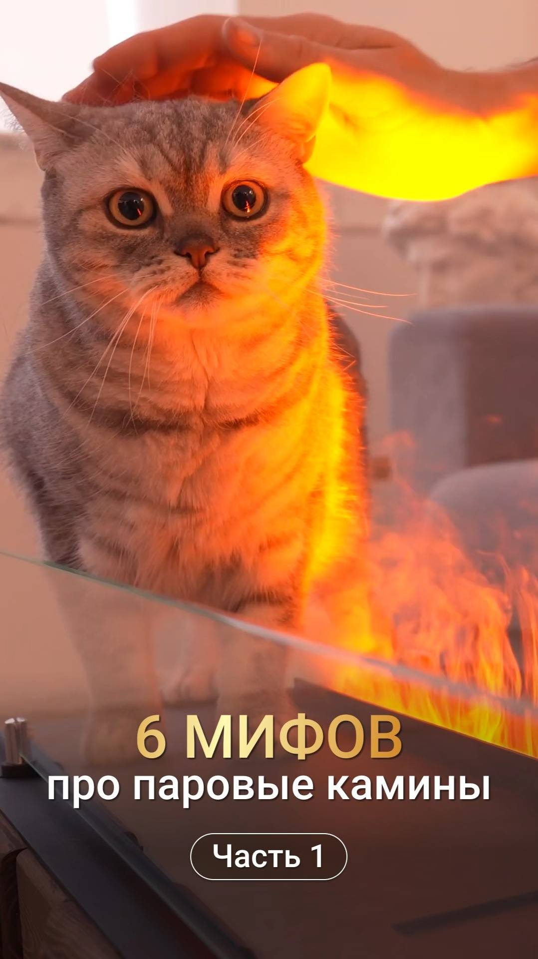 6 мифов про паровой камин. Часть 1